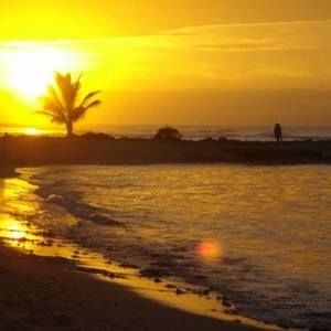 Meet your Posher, Judy